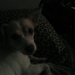 Meet your Posher, Raquel